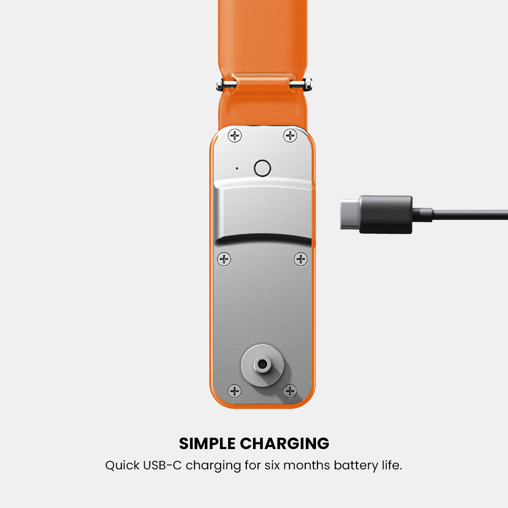 #color_orange