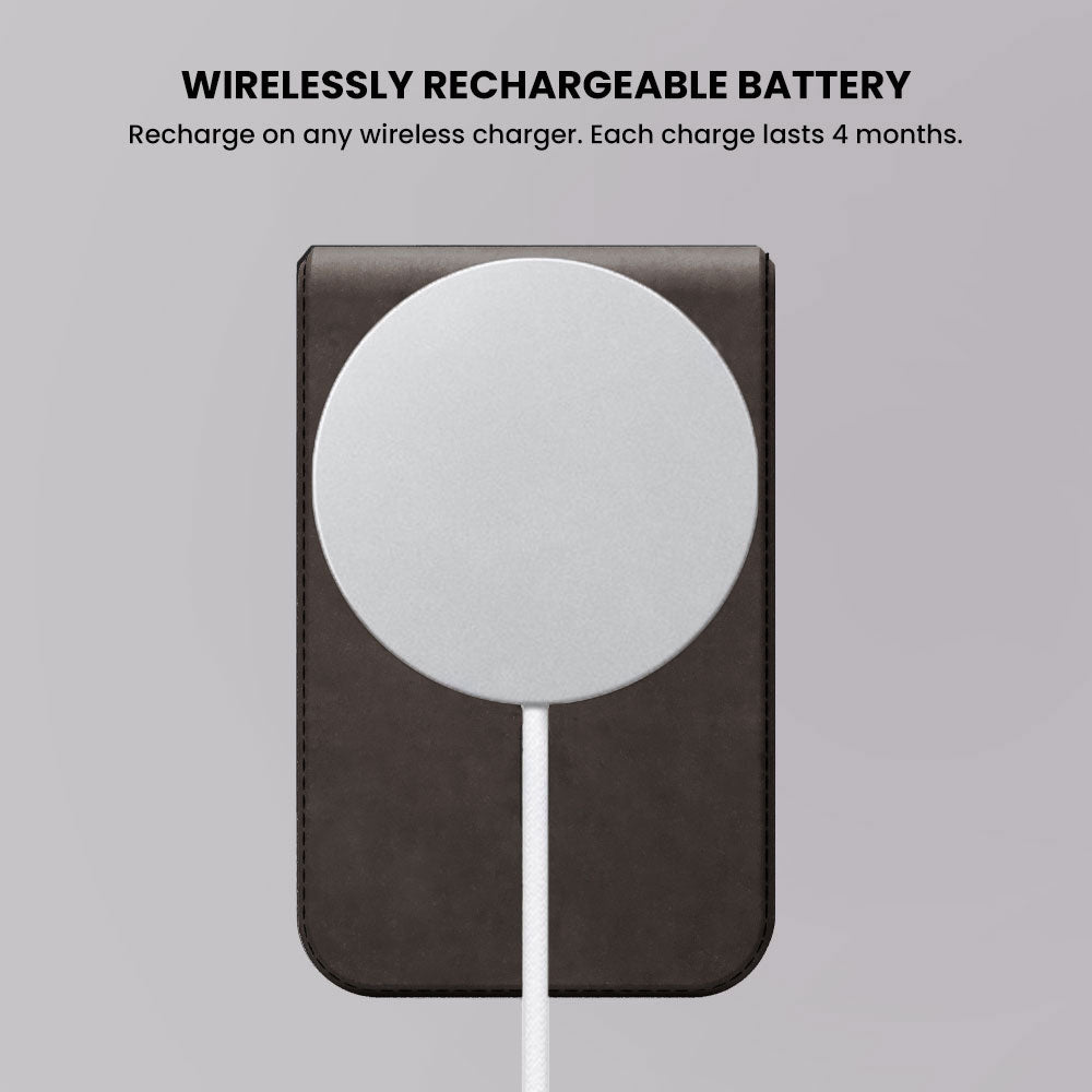 #color_dark brown (limited edition)