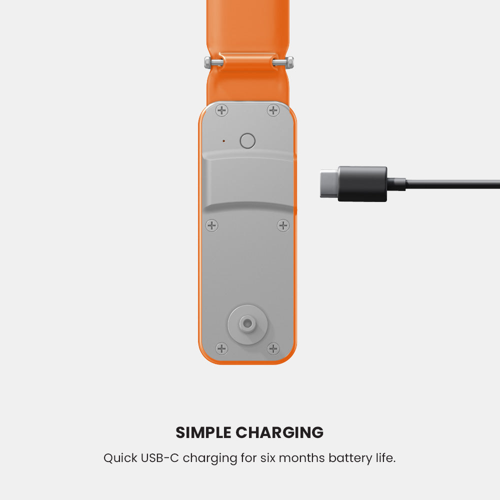 #color_orange